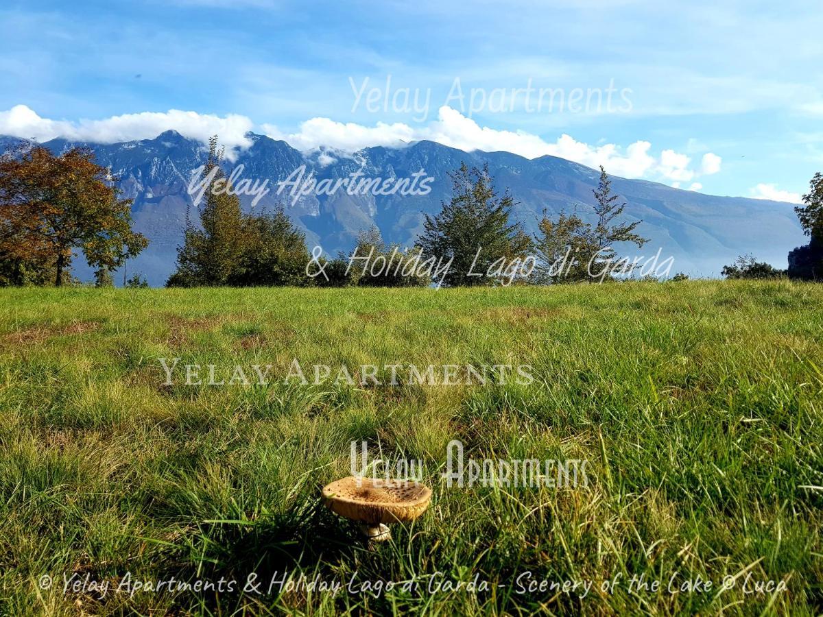 Yelay Apartments & Holiday Lago Di Garda Raffa エクステリア 写真